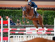 Gozzini Singul Dream GioCav2013 S5 4372 : Campionati Italiani Giovani Cavalli, Cattolica, Gozzini Cristian, Singul Dream, ph Stefano Secchi ©